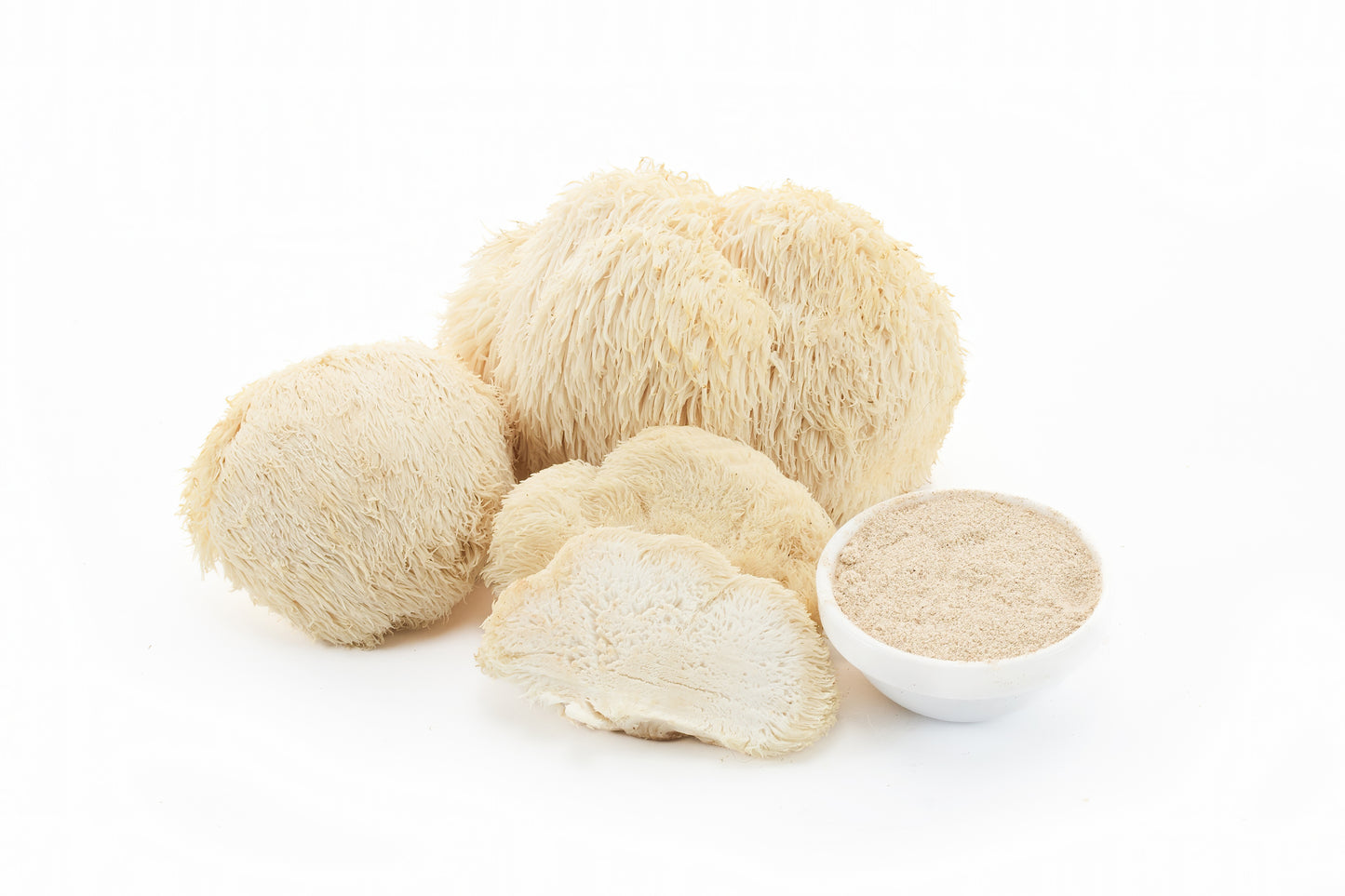 Hericium – Hericium erinaceus (Lion's Mane - Crinière de Lion)