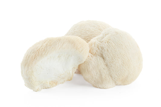 Hericium Sec (Crinière de Lion) – Hericium erinaceus (1kg)